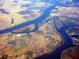 The Sacramento-San Joaquin river delta is a 2800 sq. km inland delta that hosts protected estuaries, agricultural lands and urban settlements.
